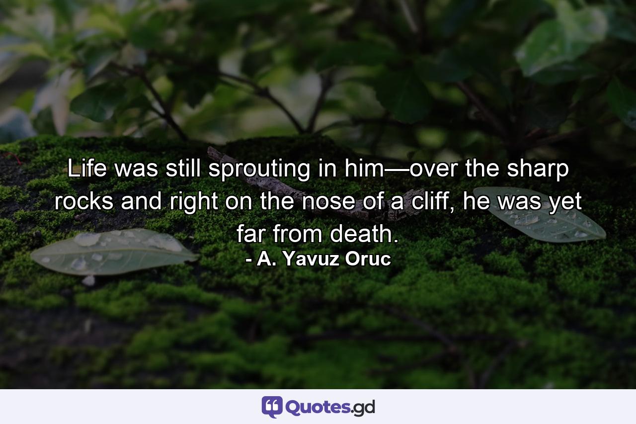 Life was still sprouting in him—over the sharp rocks and right on the nose of a cliff, he was yet far from death. - Quote by A. Yavuz Oruc