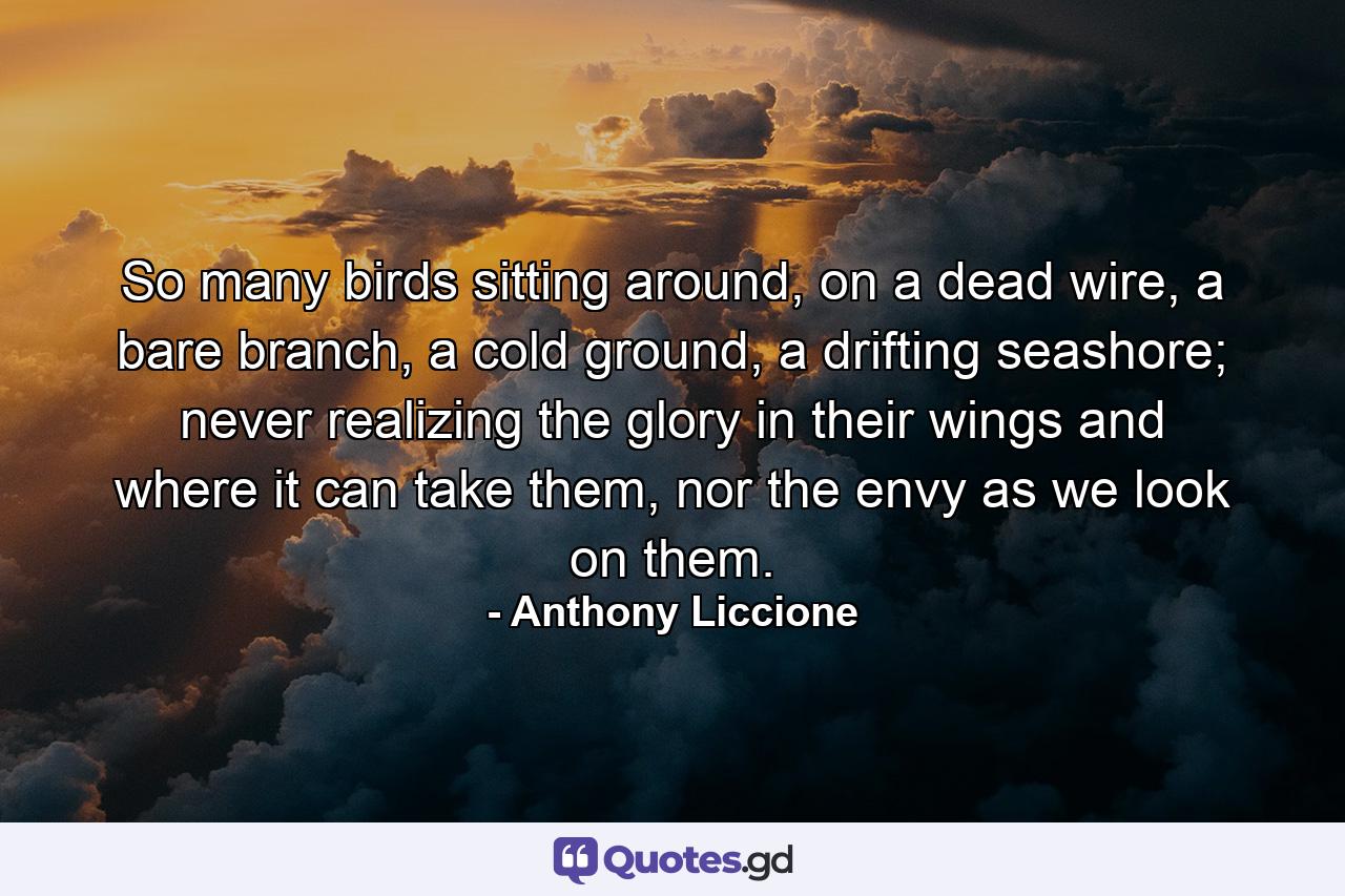 So many birds sitting around, on a dead wire, a bare branch, a cold ground, a drifting seashore; never realizing the glory in their wings and where it can take them, nor the envy as we look on them. - Quote by Anthony Liccione