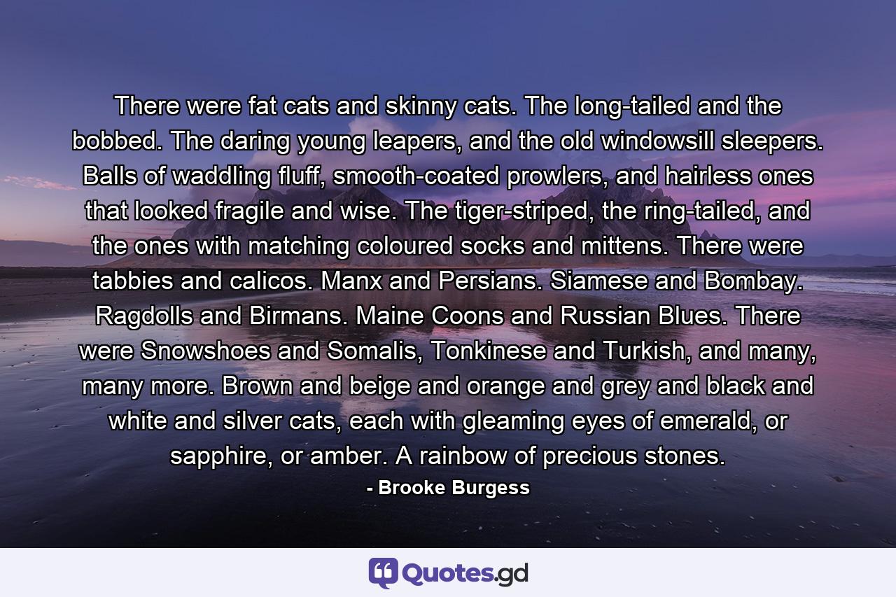 There were fat cats and skinny cats. The long-tailed and the bobbed. The daring young leapers, and the old windowsill sleepers. Balls of waddling fluff, smooth-coated prowlers, and hairless ones that looked fragile and wise. The tiger-striped, the ring-tailed, and the ones with matching coloured socks and mittens. There were tabbies and calicos. Manx and Persians. Siamese and Bombay. Ragdolls and Birmans. Maine Coons and Russian Blues. There were Snowshoes and Somalis, Tonkinese and Turkish, and many, many more. Brown and beige and orange and grey and black and white and silver cats, each with gleaming eyes of emerald, or sapphire, or amber. A rainbow of precious stones. - Quote by Brooke Burgess