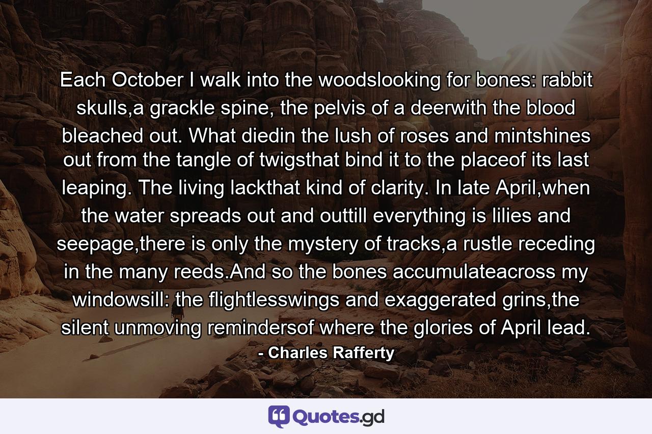 Each October I walk into the woodslooking for bones: rabbit skulls,a grackle spine, the pelvis of a deerwith the blood bleached out. What diedin the lush of roses and mintshines out from the tangle of twigsthat bind it to the placeof its last leaping. The living lackthat kind of clarity. In late April,when the water spreads out and outtill everything is lilies and seepage,there is only the mystery of tracks,a rustle receding in the many reeds.And so the bones accumulateacross my windowsill: the flightlesswings and exaggerated grins,the silent unmoving remindersof where the glories of April lead. - Quote by Charles Rafferty