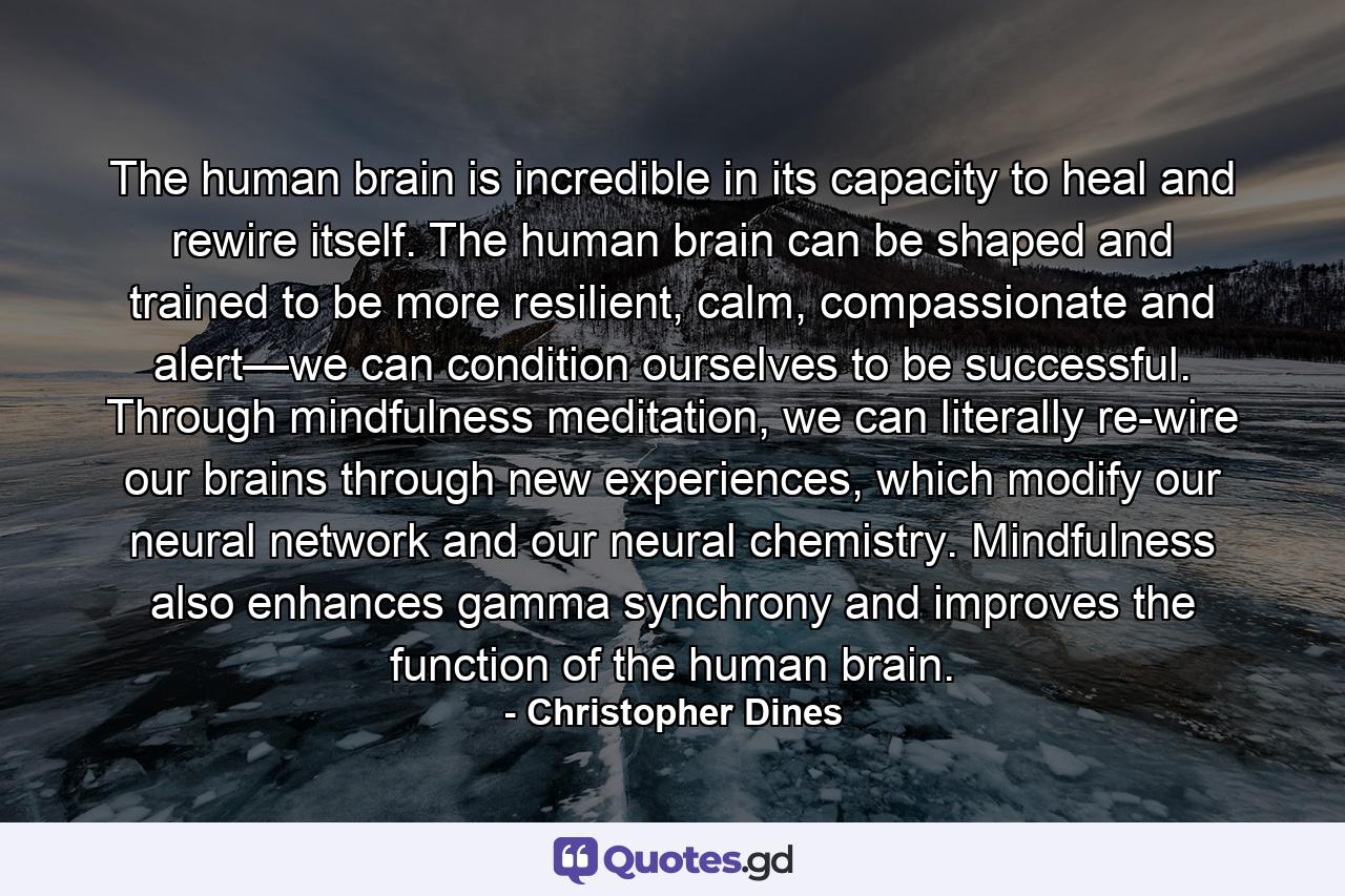 The human brain is incredible in its capacity to heal and rewire itself. The human brain can be shaped and trained to be more resilient, calm, compassionate and alert—we can condition ourselves to be successful. Through mindfulness meditation, we can literally re-wire our brains through new experiences, which modify our neural network and our neural chemistry. Mindfulness also enhances gamma synchrony and improves the function of the human brain. - Quote by Christopher Dines