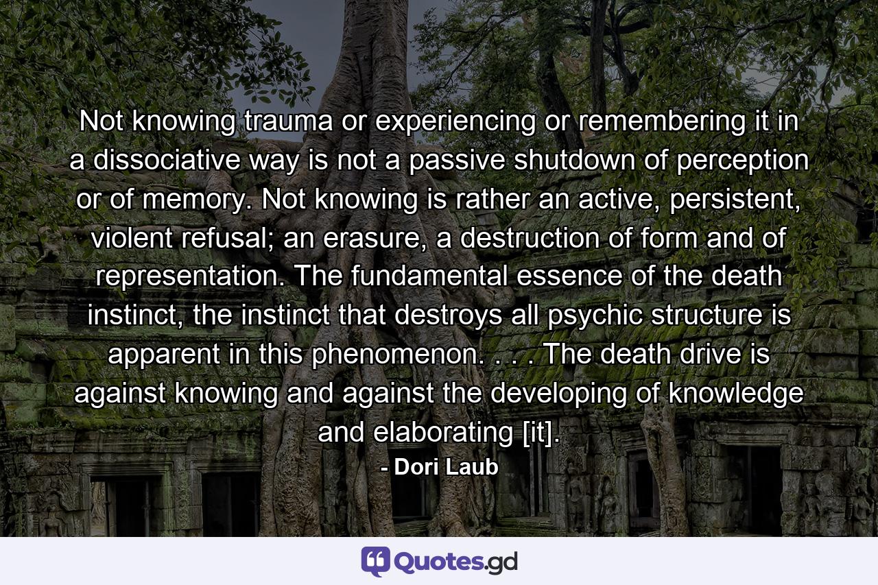 Not knowing trauma or experiencing or remembering it in a dissociative way is not a passive shutdown of perception or of memory. Not knowing is rather an active, persistent, violent refusal; an erasure, a destruction of form and of representation. The fundamental essence of the death instinct, the instinct that destroys all psychic structure is apparent in this phenomenon. . . . The death drive is against knowing and against the developing of knowledge and elaborating [it]. - Quote by Dori Laub