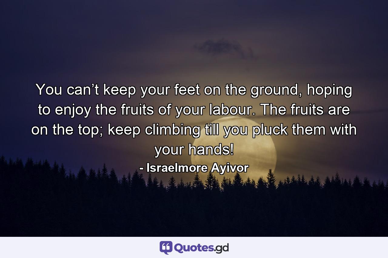 You can’t keep your feet on the ground, hoping to enjoy the fruits of your labour. The fruits are on the top; keep climbing till you pluck them with your hands! - Quote by Israelmore Ayivor