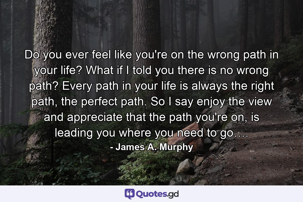 Do you ever feel like you're on the wrong path in your life? What if I told you there is no wrong path? Every path in your life is always the right path, the perfect path. So I say enjoy the view and appreciate that the path you're on, is leading you where you need to go…. - Quote by James A. Murphy