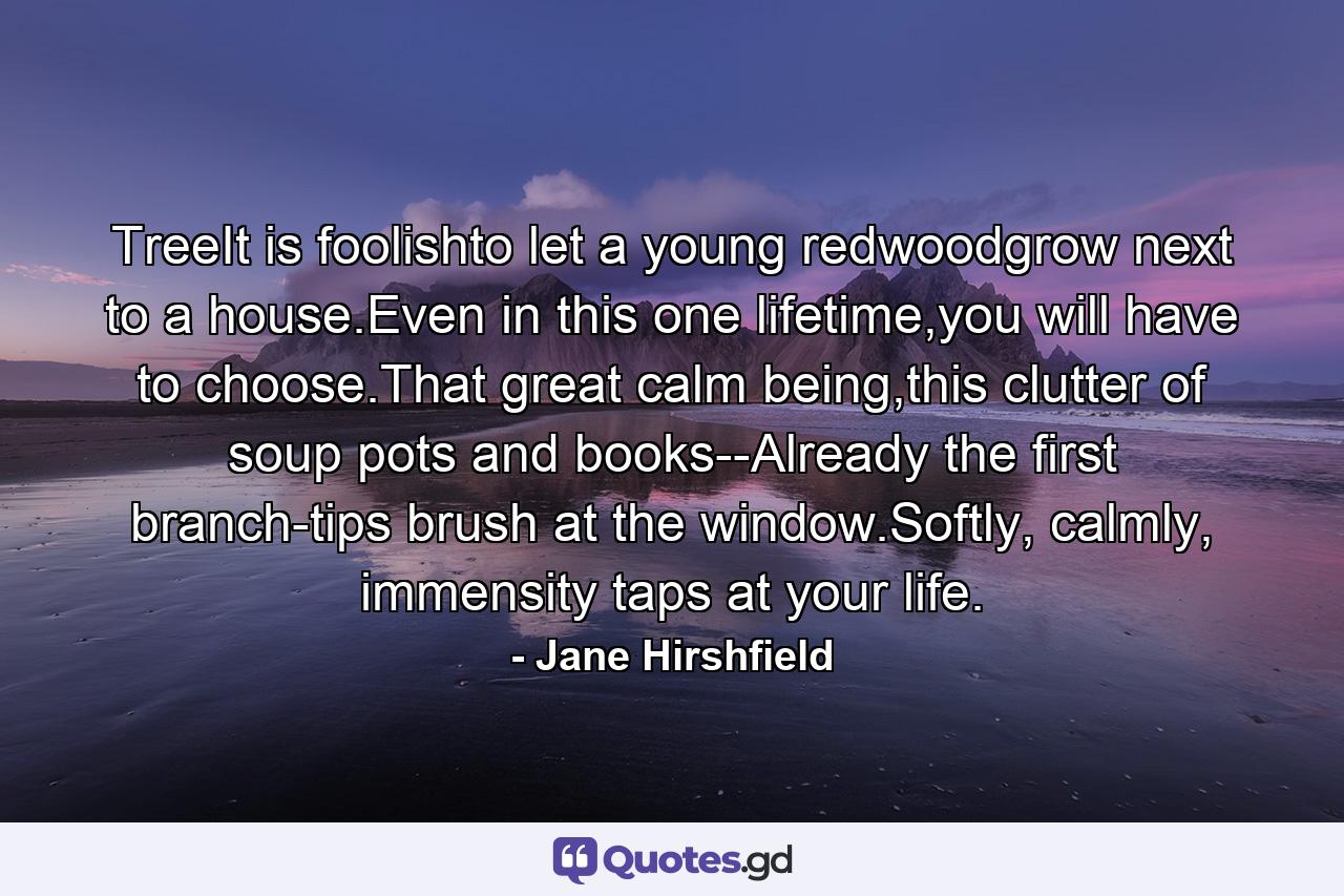 TreeIt is foolishto let a young redwoodgrow next to a house.Even in this one lifetime,you will have to choose.That great calm being,this clutter of soup pots and books--Already the first branch-tips brush at the window.Softly, calmly, immensity taps at your life. - Quote by Jane Hirshfield