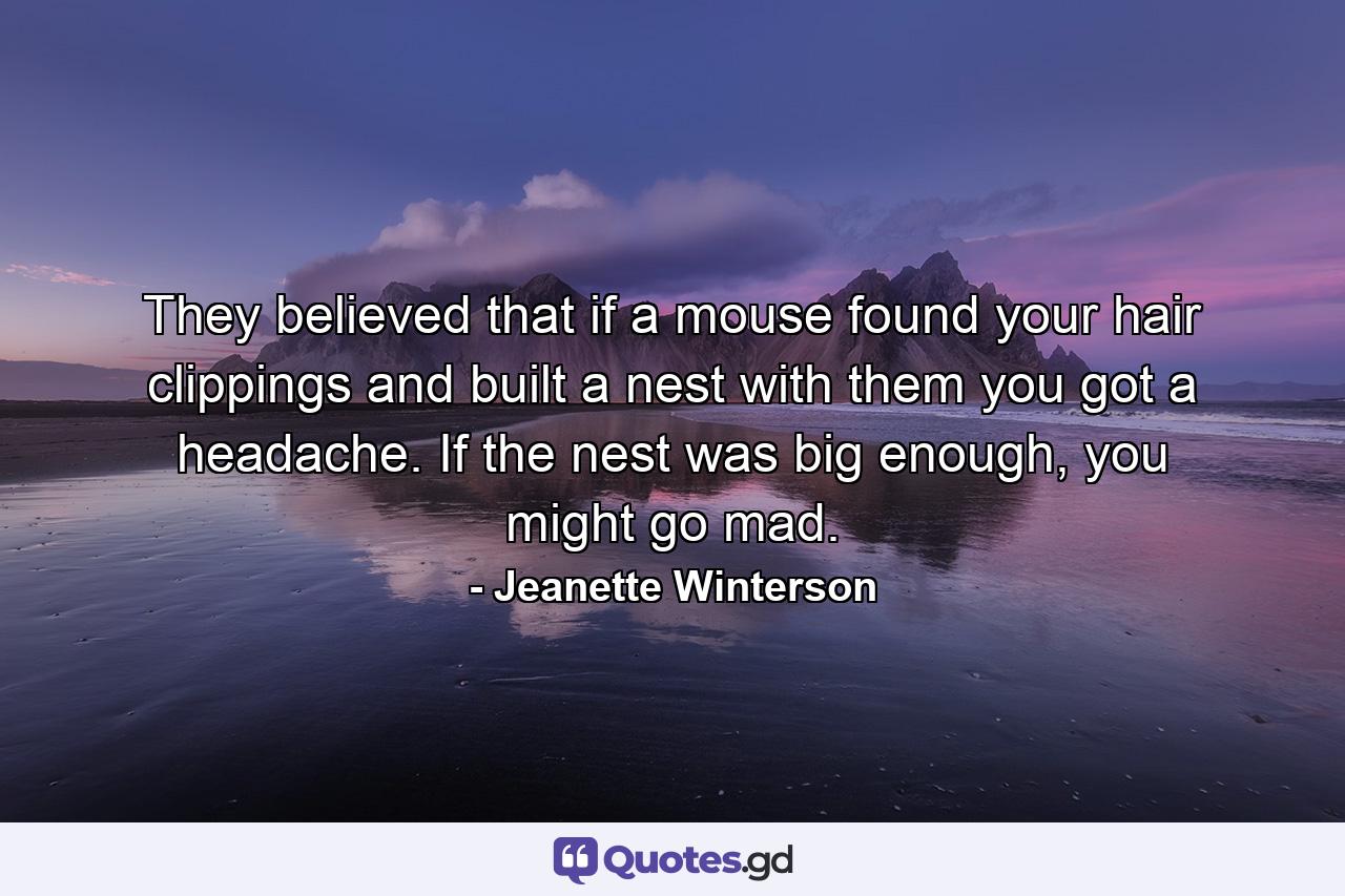 They believed that if a mouse found your hair clippings and built a nest with them you got a headache. If the nest was big enough, you might go mad. - Quote by Jeanette Winterson