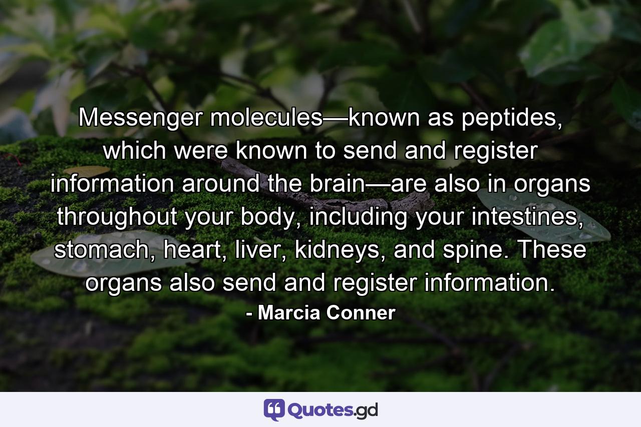 Messenger molecules—known as peptides, which were known to send and register information around the brain—are also in organs throughout your body, including your intestines, stomach, heart, liver, kidneys, and spine. These organs also send and register information. - Quote by Marcia Conner