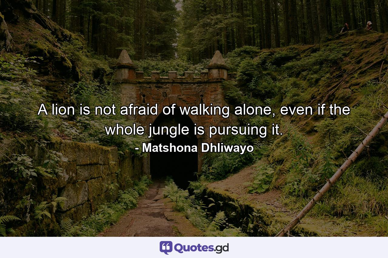 A lion is not afraid of walking alone, even if the whole jungle is pursuing it. - Quote by Matshona Dhliwayo