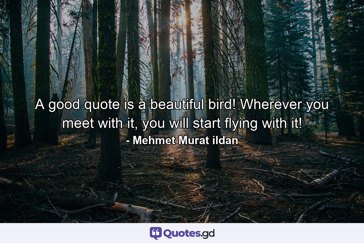 A good quote is a beautiful bird! Wherever you meet with it, you will start flying with it! - Quote by Mehmet Murat ildan