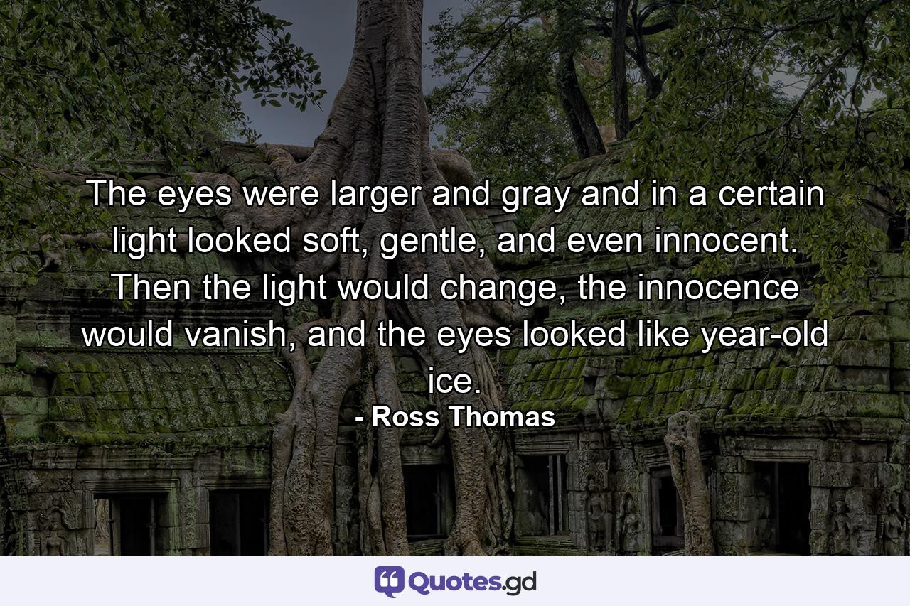 The eyes were larger and gray and in a certain light looked soft, gentle, and even innocent. Then the light would change, the innocence would vanish, and the eyes looked like year-old ice. - Quote by Ross Thomas