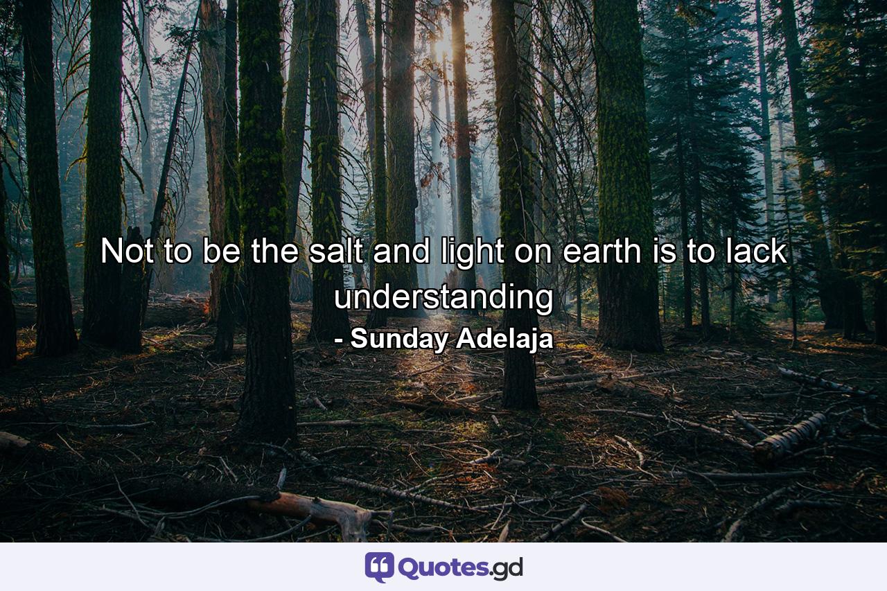 Not to be the salt and light on earth is to lack understanding - Quote by Sunday Adelaja