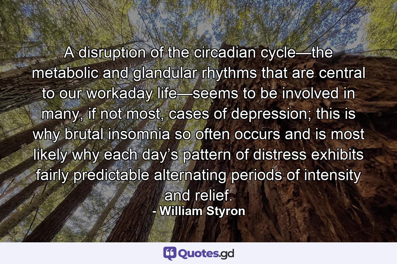 A disruption of the circadian cycle—the metabolic and glandular rhythms that are central to our workaday life—seems to be involved in many, if not most, cases of depression; this is why brutal insomnia so often occurs and is most likely why each day’s pattern of distress exhibits fairly predictable alternating periods of intensity and relief. - Quote by William Styron