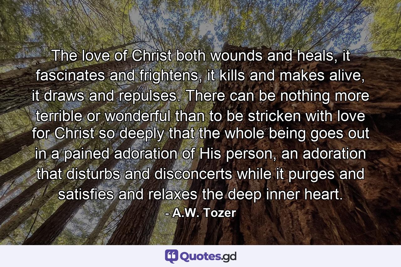 The love of Christ both wounds and heals, it fascinates and frightens, it kills and makes alive, it draws and repulses. There can be nothing more terrible or wonderful than to be stricken with love for Christ so deeply that the whole being goes out in a pained adoration of His person, an adoration that disturbs and disconcerts while it purges and satisfies and relaxes the deep inner heart. - Quote by A.W. Tozer