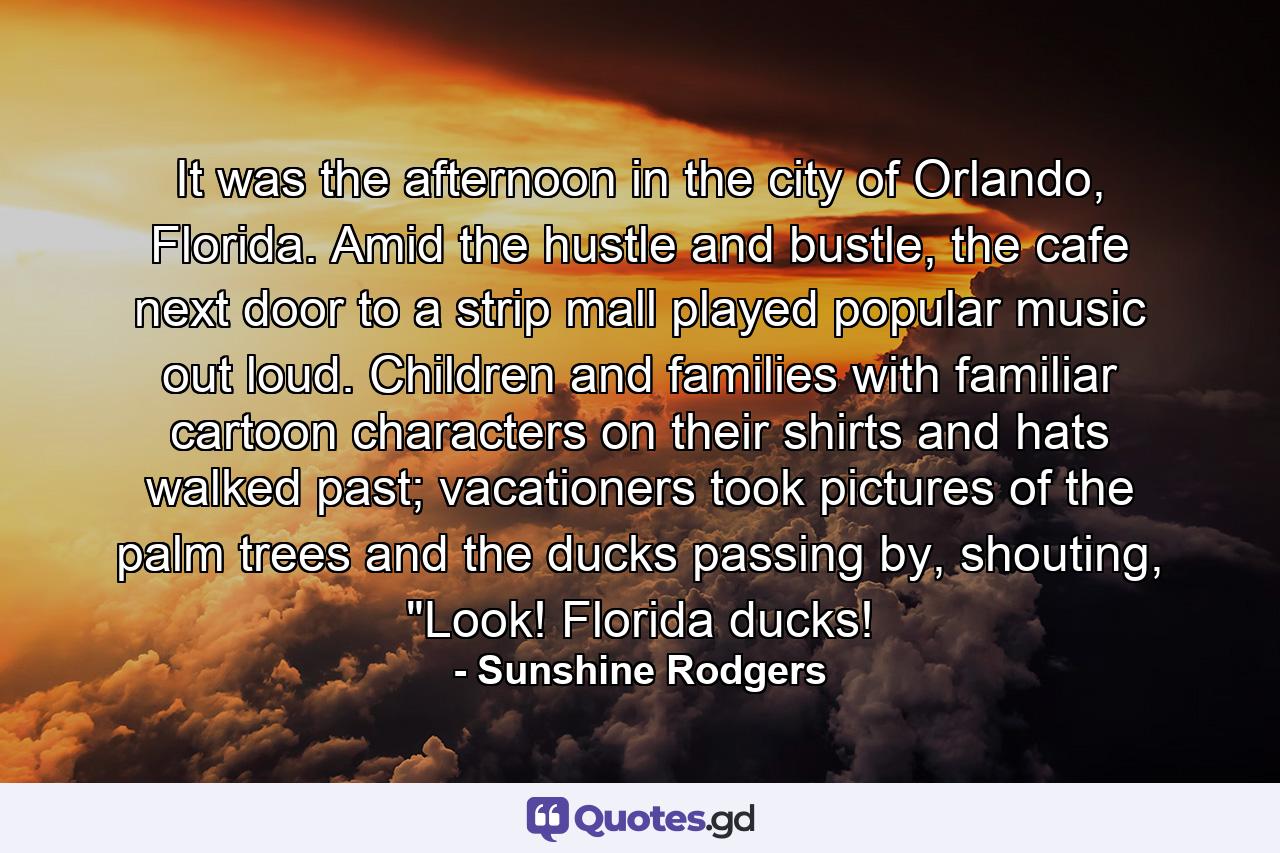 It was the afternoon in the city of Orlando, Florida. Amid the hustle and bustle, the cafe next door to a strip mall played popular music out loud. Children and families with familiar cartoon characters on their shirts and hats walked past; vacationers took pictures of the palm trees and the ducks passing by, shouting, 