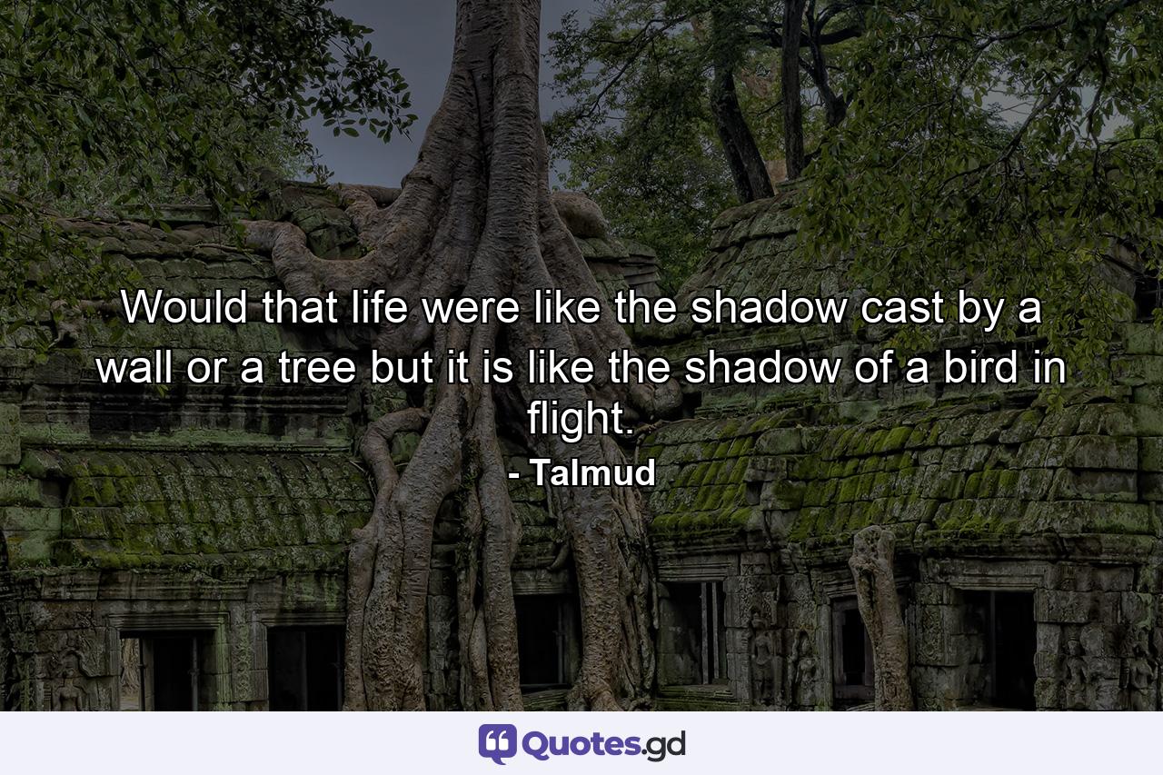 Would that life were like the shadow cast by a wall or a tree  but it is like the shadow of a bird in flight. - Quote by Talmud