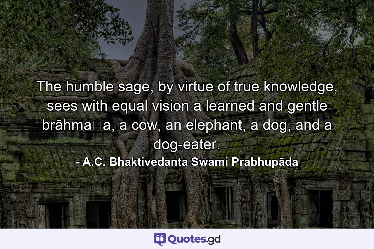 The humble sage, by virtue of true knowledge, sees with equal vision a learned and gentle brāhmaṇa, a cow, an elephant, a dog, and a dog-eater. - Quote by A.C. Bhaktivedanta Swami Prabhupāda