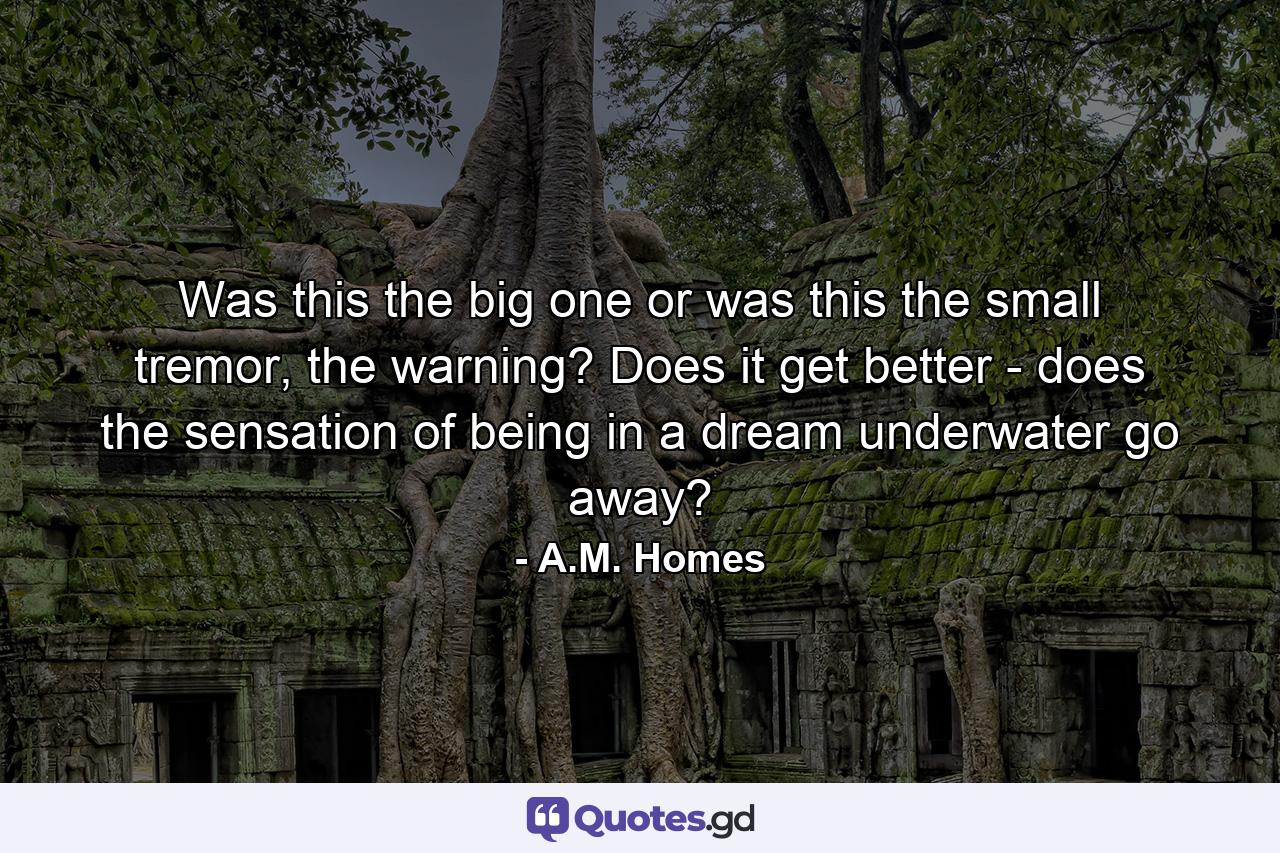 Was this the big one or was this the small tremor, the warning? Does it get better - does the sensation of being in a dream underwater go away? - Quote by A.M. Homes