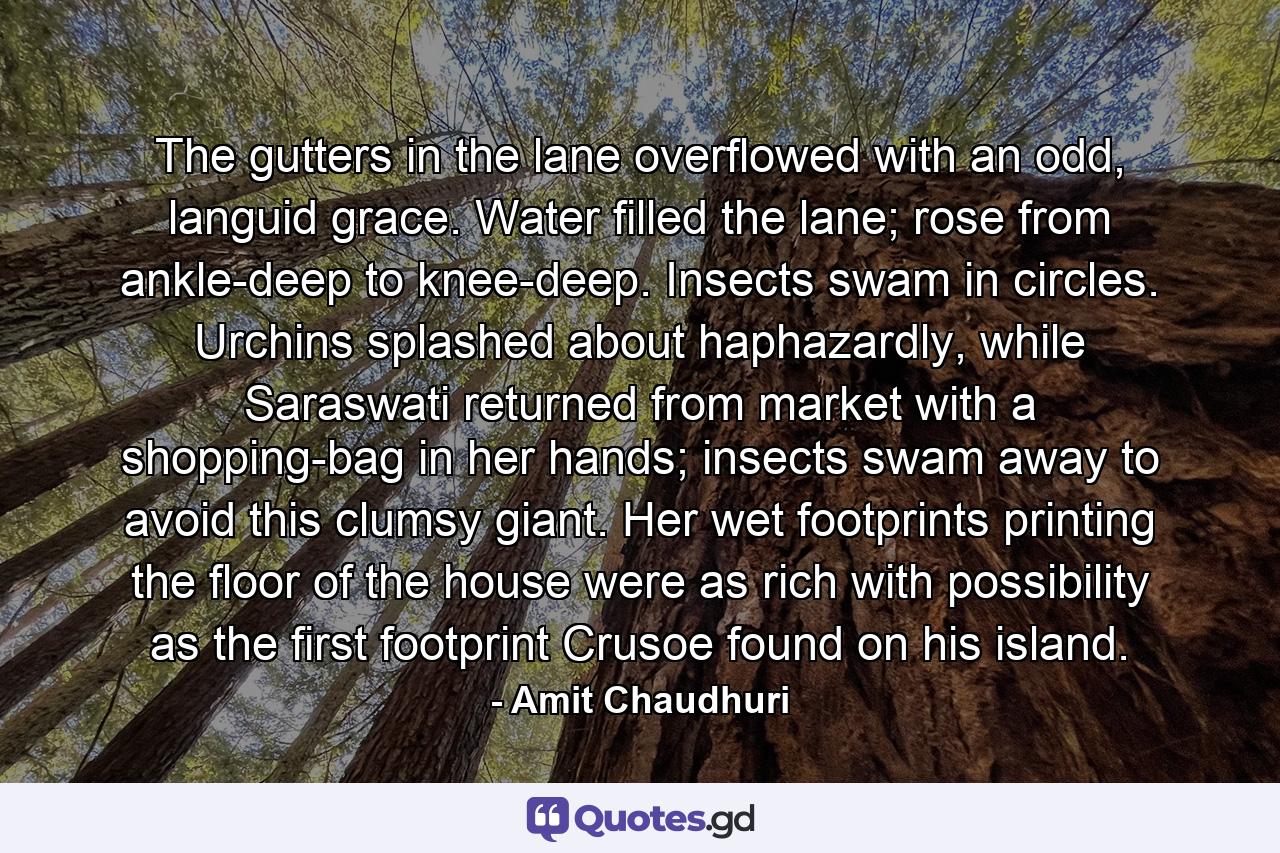 The gutters in the lane overflowed with an odd, languid grace. Water filled the lane; rose from ankle-deep to knee-deep. Insects swam in circles. Urchins splashed about haphazardly, while Saraswati returned from market with a shopping-bag in her hands; insects swam away to avoid this clumsy giant. Her wet footprints printing the floor of the house were as rich with possibility as the first footprint Crusoe found on his island. - Quote by Amit Chaudhuri