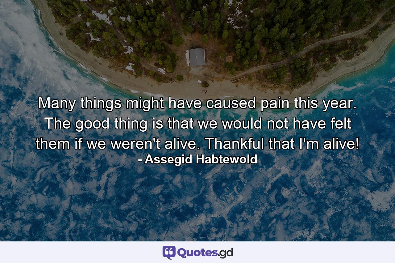 Many things might have caused pain this year. The good thing is that we would not have felt them if we weren't alive. Thankful that I'm alive! - Quote by Assegid Habtewold