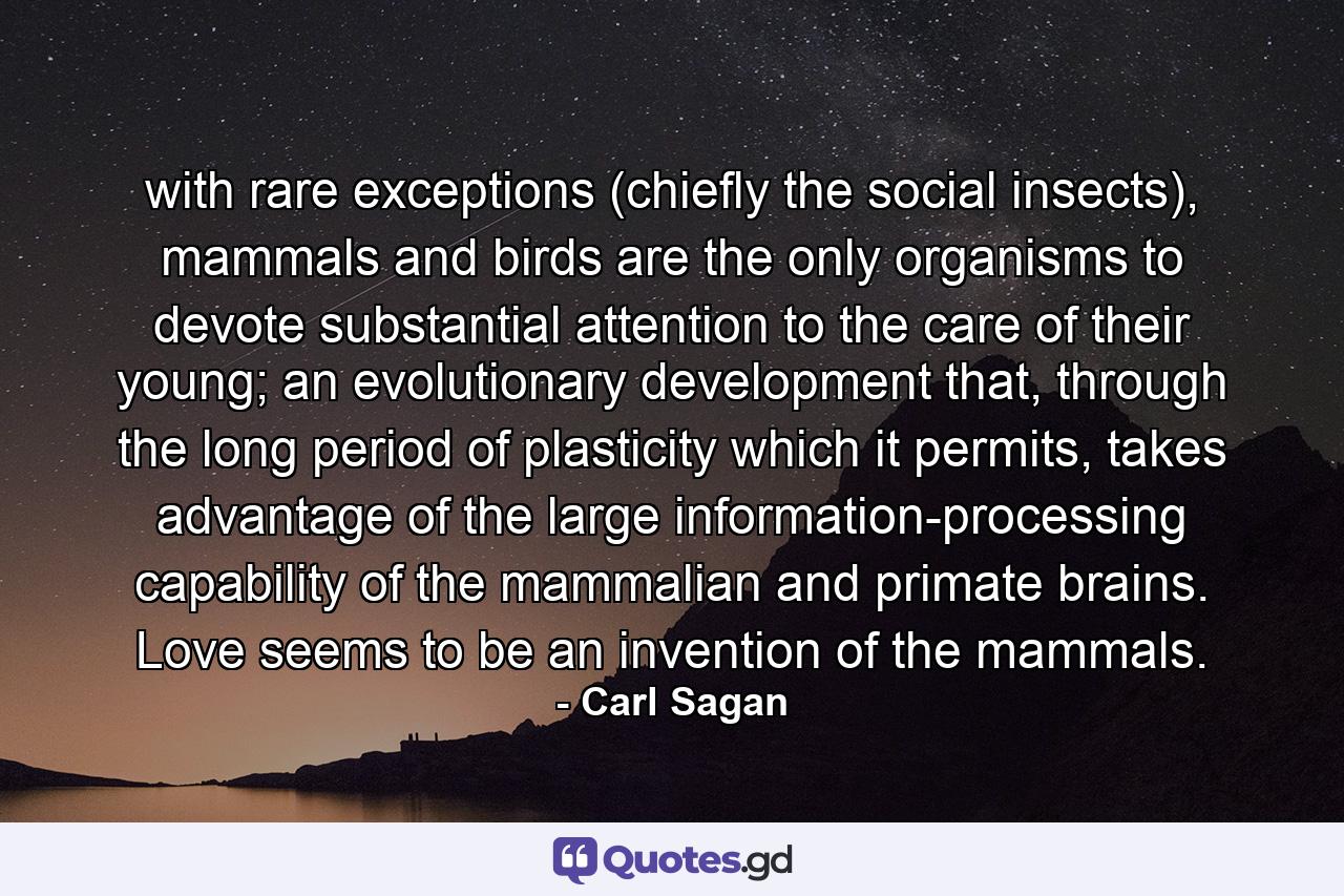 with rare exceptions (chiefly the social insects), mammals and birds are the only organisms to devote substantial attention to the care of their young; an evolutionary development that, through the long period of plasticity which it permits, takes advantage of the large information-processing capability of the mammalian and primate brains. Love seems to be an invention of the mammals. - Quote by Carl Sagan