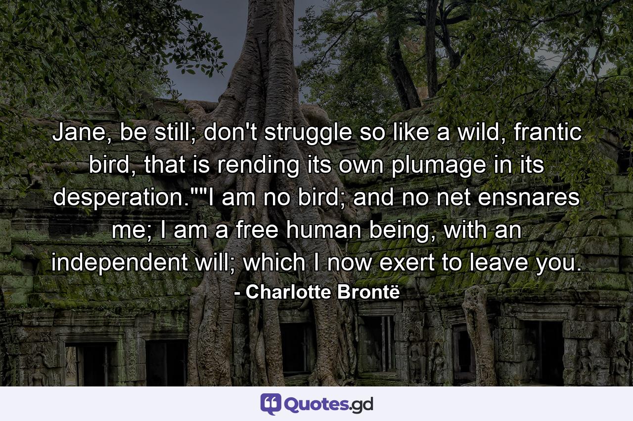 Jane, be still; don't struggle so like a wild, frantic bird, that is rending its own plumage in its desperation.