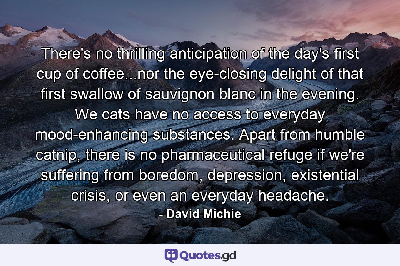 There's no thrilling anticipation of the day's first cup of coffee...nor the eye-closing delight of that first swallow of sauvignon blanc in the evening. We cats have no access to everyday mood-enhancing substances. Apart from humble catnip, there is no pharmaceutical refuge if we're suffering from boredom, depression, existential crisis, or even an everyday headache. - Quote by David Michie