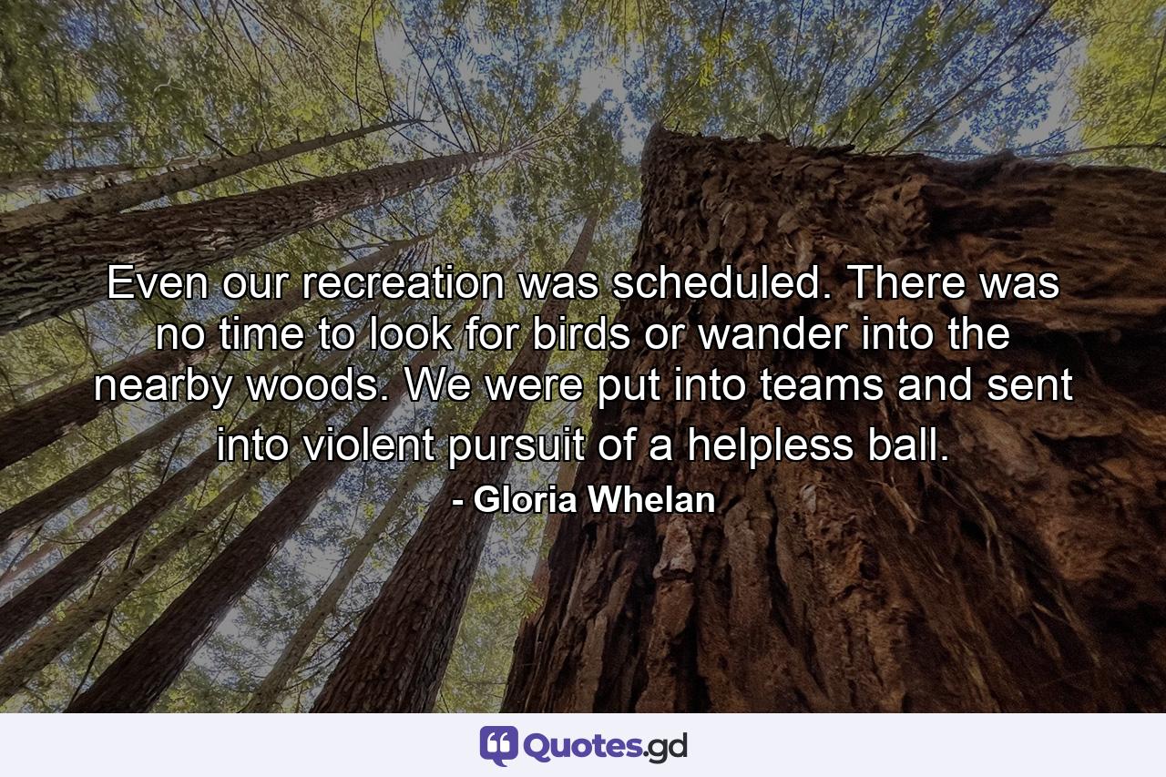 Even our recreation was scheduled. There was no time to look for birds or wander into the nearby woods. We were put into teams and sent into violent pursuit of a helpless ball. - Quote by Gloria Whelan