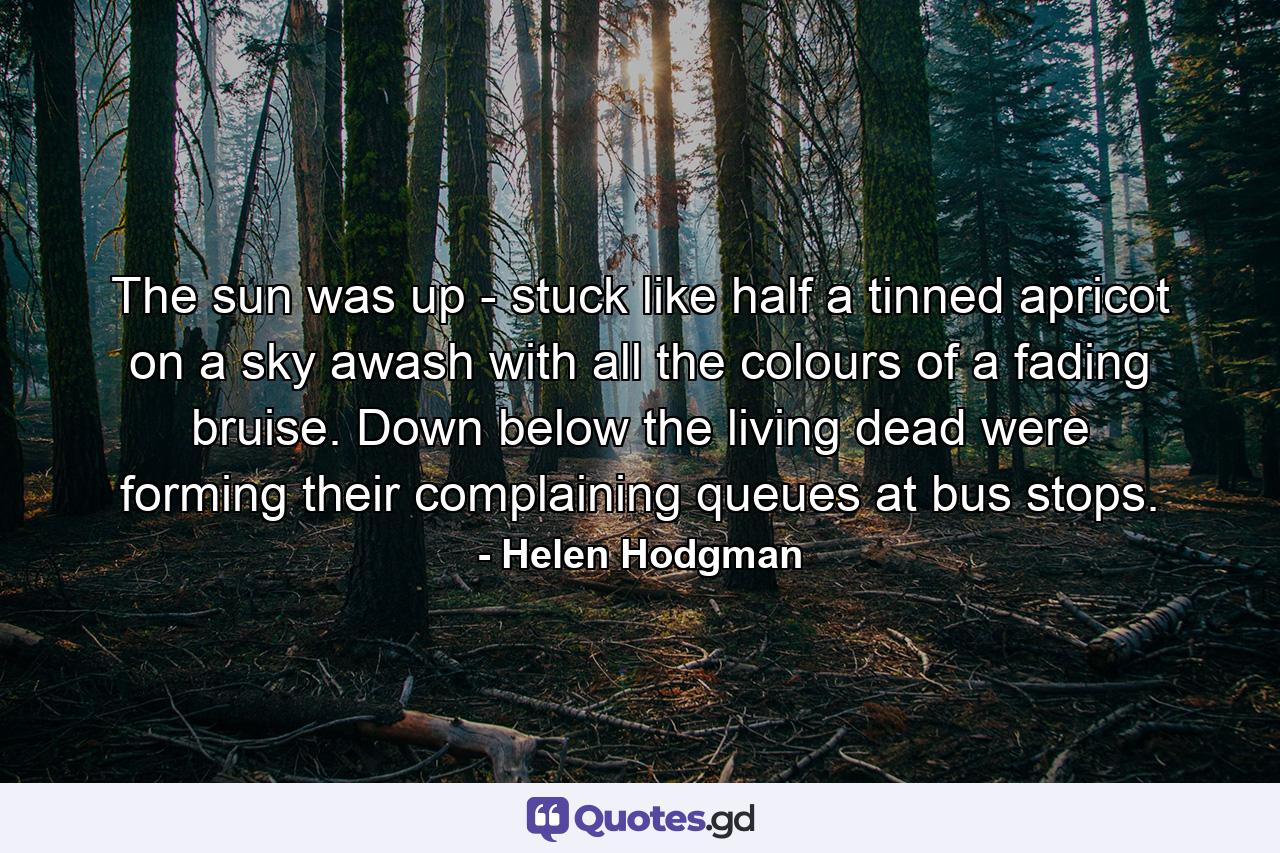 The sun was up - stuck like half a tinned apricot on a sky awash with all the colours of a fading bruise. Down below the living dead were forming their complaining queues at bus stops. - Quote by Helen Hodgman