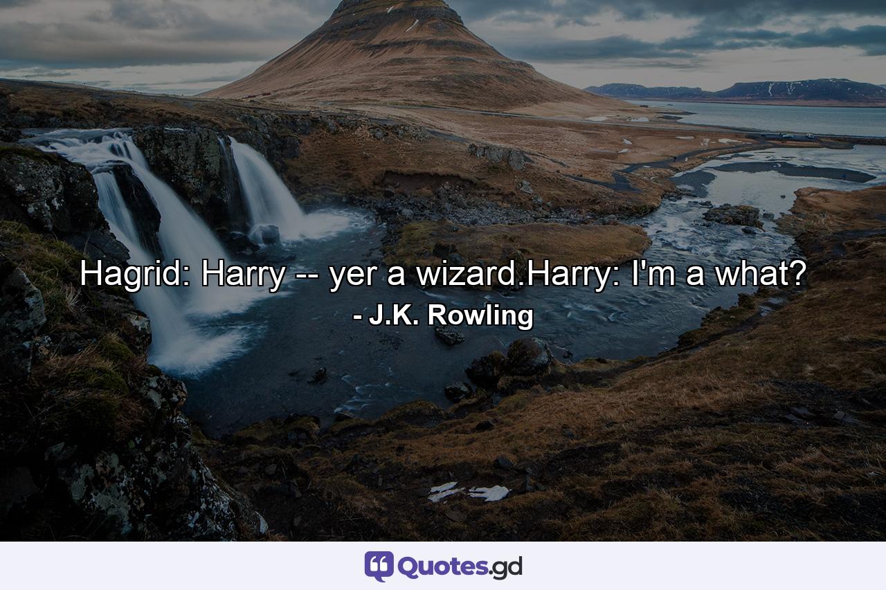 Hagrid: Harry -- yer a wizard.Harry: I'm a what? - Quote by J.K. Rowling