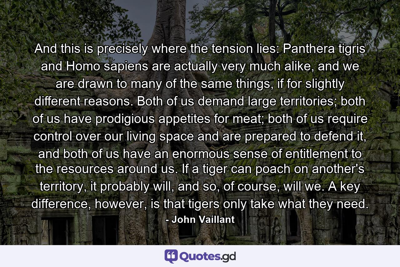 And this is precisely where the tension lies: Panthera tigris and Homo sapiens are actually very much alike, and we are drawn to many of the same things, if for slightly different reasons. Both of us demand large territories; both of us have prodigious appetites for meat; both of us require control over our living space and are prepared to defend it, and both of us have an enormous sense of entitlement to the resources around us. If a tiger can poach on another's territory, it probably will, and so, of course, will we. A key difference, however, is that tigers only take what they need. - Quote by John Vaillant