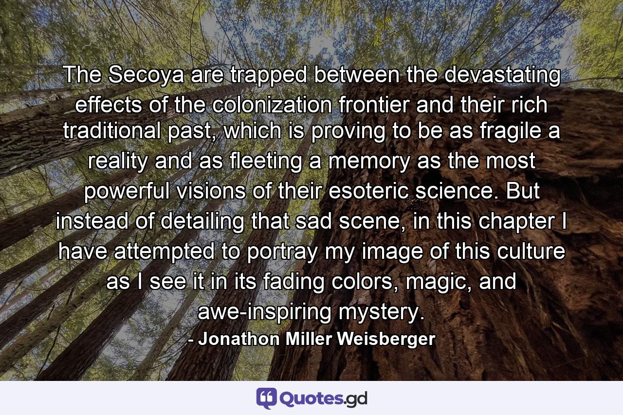 The Secoya are trapped between the devastating effects of the colonization frontier and their rich traditional past, which is proving to be as fragile a reality and as fleeting a memory as the most powerful visions of their esoteric science. But instead of detailing that sad scene, in this chapter I have attempted to portray my image of this culture as I see it in its fading colors, magic, and awe-inspiring mystery. - Quote by Jonathon Miller Weisberger