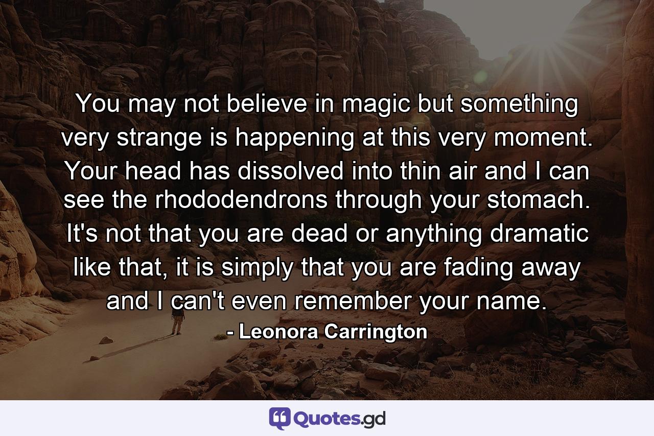 You may not believe in magic but something very strange is happening at this very moment. Your head has dissolved into thin air and I can see the rhododendrons through your stomach. It's not that you are dead or anything dramatic like that, it is simply that you are fading away and I can't even remember your name. - Quote by Leonora Carrington