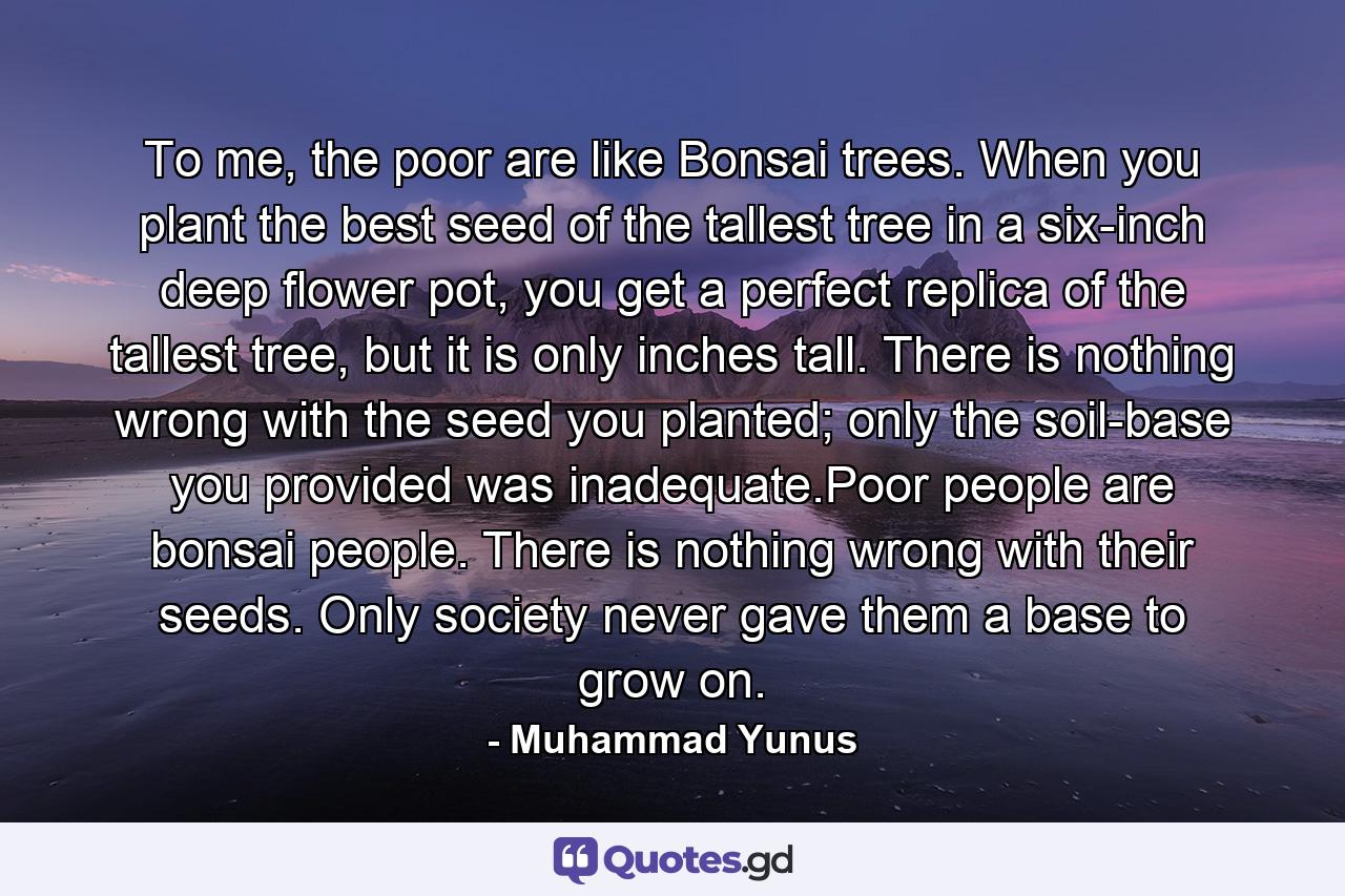 To me, the poor are like Bonsai trees. When you plant the best seed of the tallest tree in a six-inch deep flower pot, you get a perfect replica of the tallest tree, but it is only inches tall. There is nothing wrong with the seed you planted; only the soil-base you provided was inadequate.Poor people are bonsai people. There is nothing wrong with their seeds. Only society never gave them a base to grow on. - Quote by Muhammad Yunus