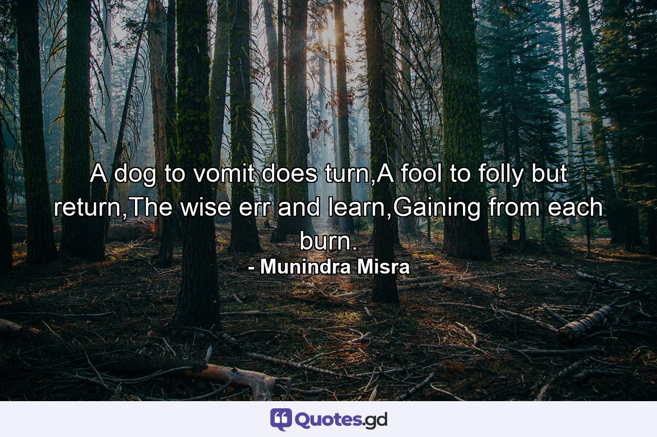 A dog to vomit does turn,A fool to folly but return,The wise err and learn,Gaining from each burn. - Quote by Munindra Misra