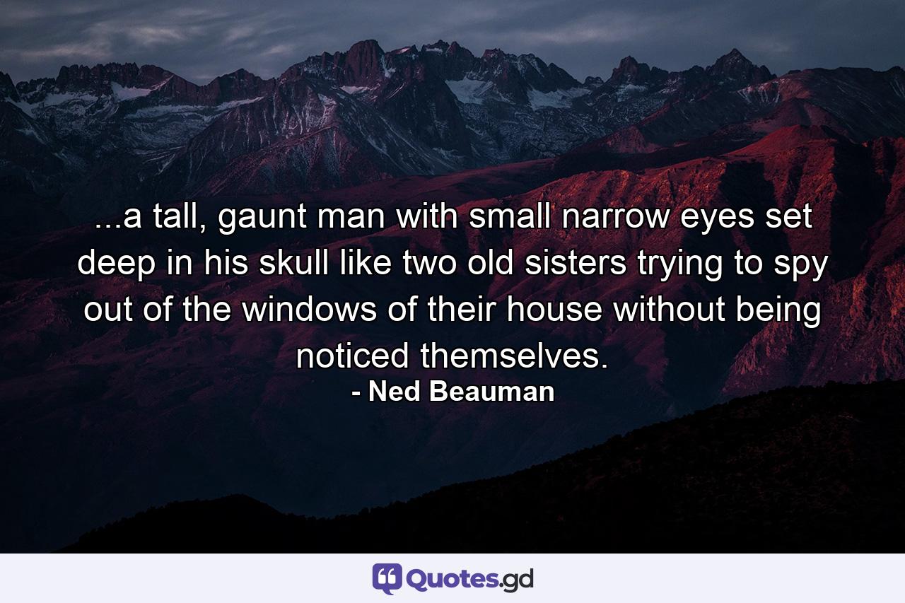 ...a tall, gaunt man with small narrow eyes set deep in his skull like two old sisters trying to spy out of the windows of their house without being noticed themselves. - Quote by Ned Beauman