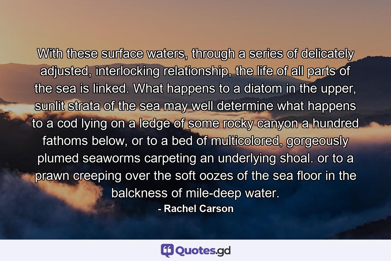 With these surface waters, through a series of delicately adjusted, interlocking relationship, the life of all parts of the sea is linked. What happens to a diatom in the upper, sunlit strata of the sea may well determine what happens to a cod lying on a ledge of some rocky canyon a hundred fathoms below, or to a bed of multicolored, gorgeously plumed seaworms carpeting an underlying shoal. or to a prawn creeping over the soft oozes of the sea floor in the balckness of mile-deep water. - Quote by Rachel Carson