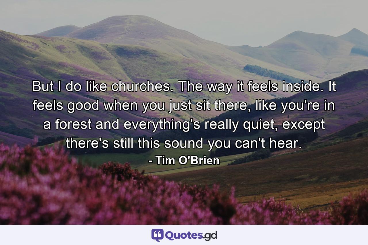 But I do like churches. The way it feels inside. It feels good when you just sit there, like you're in a forest and everything's really quiet, except there's still this sound you can't hear. - Quote by Tim O'Brien