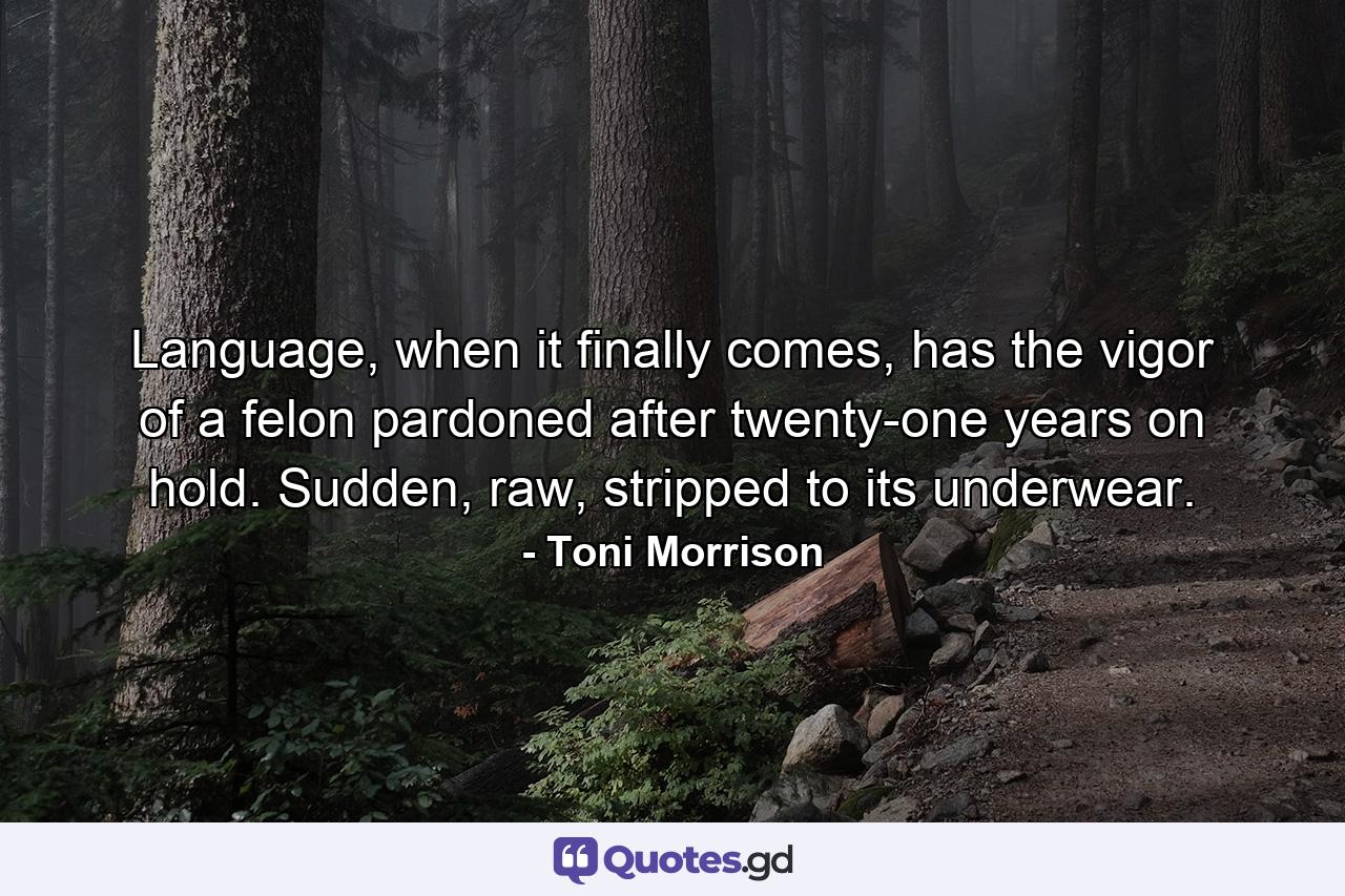 Language, when it finally comes, has the vigor of a felon pardoned after twenty-one years on hold. Sudden, raw, stripped to its underwear. - Quote by Toni Morrison