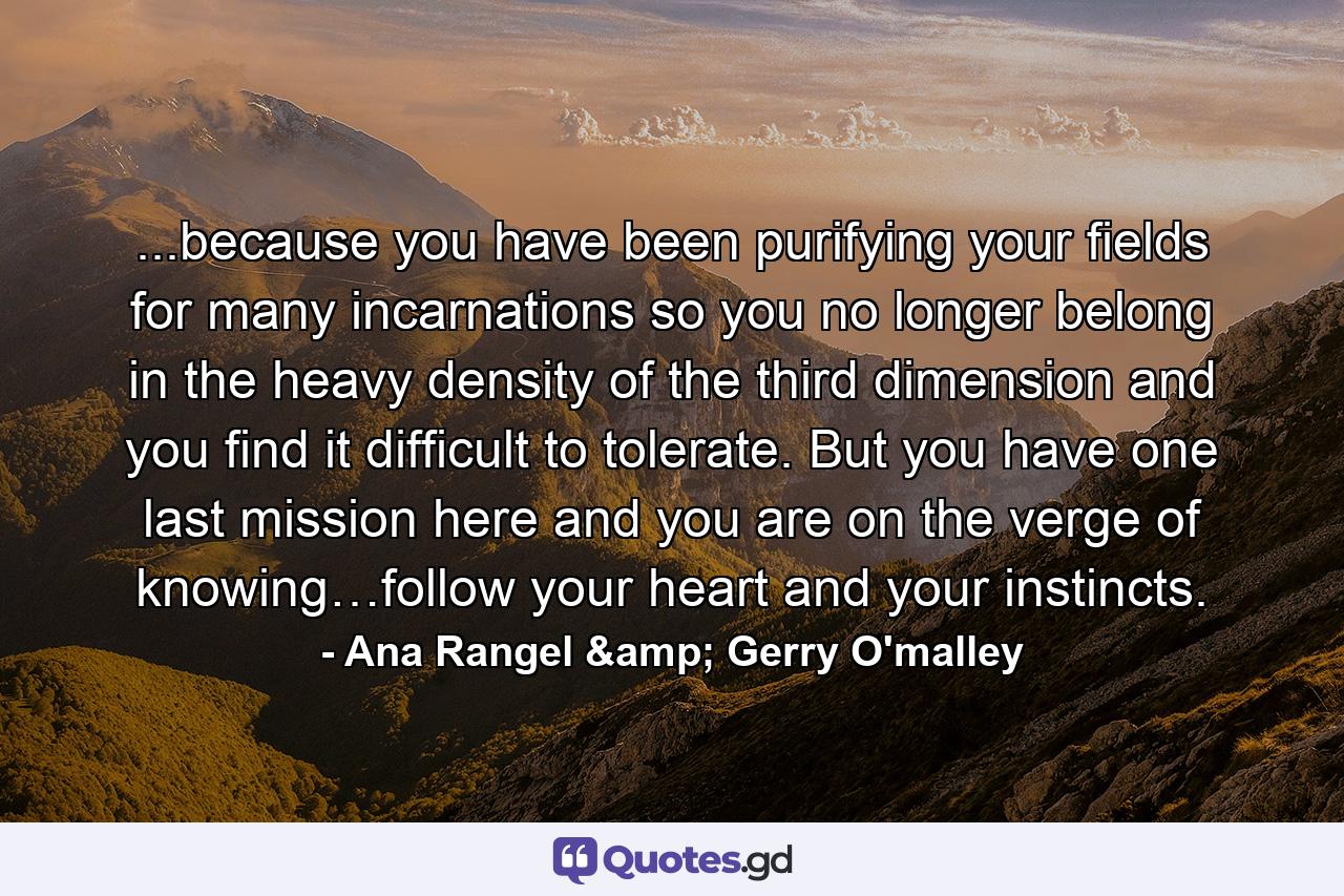 ...because you have been purifying your fields for many incarnations so you no longer belong in the heavy density of the third dimension and you find it difficult to tolerate. But you have one last mission here and you are on the verge of knowing…follow your heart and your instincts. - Quote by Ana Rangel & Gerry O'malley