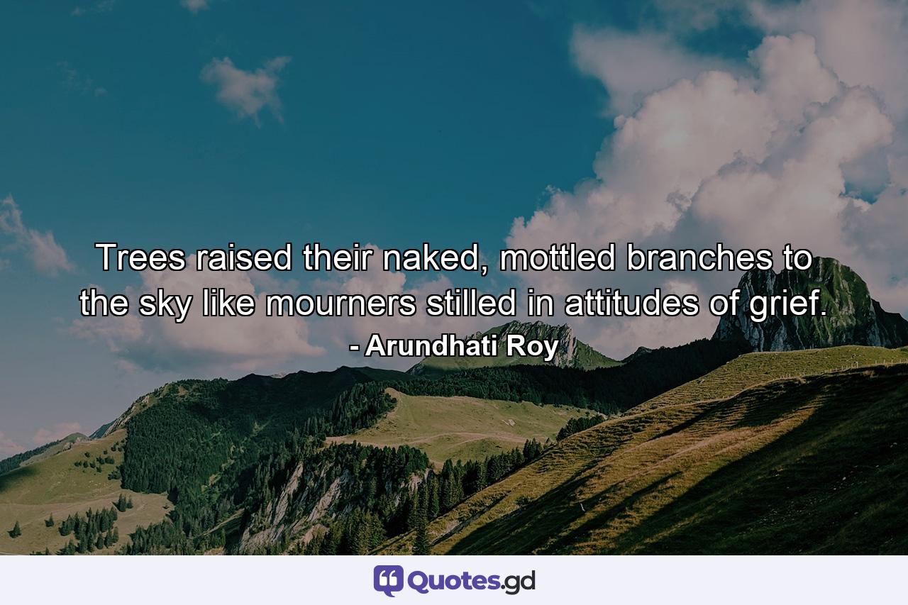 Trees raised their naked, mottled branches to the sky like mourners stilled in attitudes of grief. - Quote by Arundhati Roy