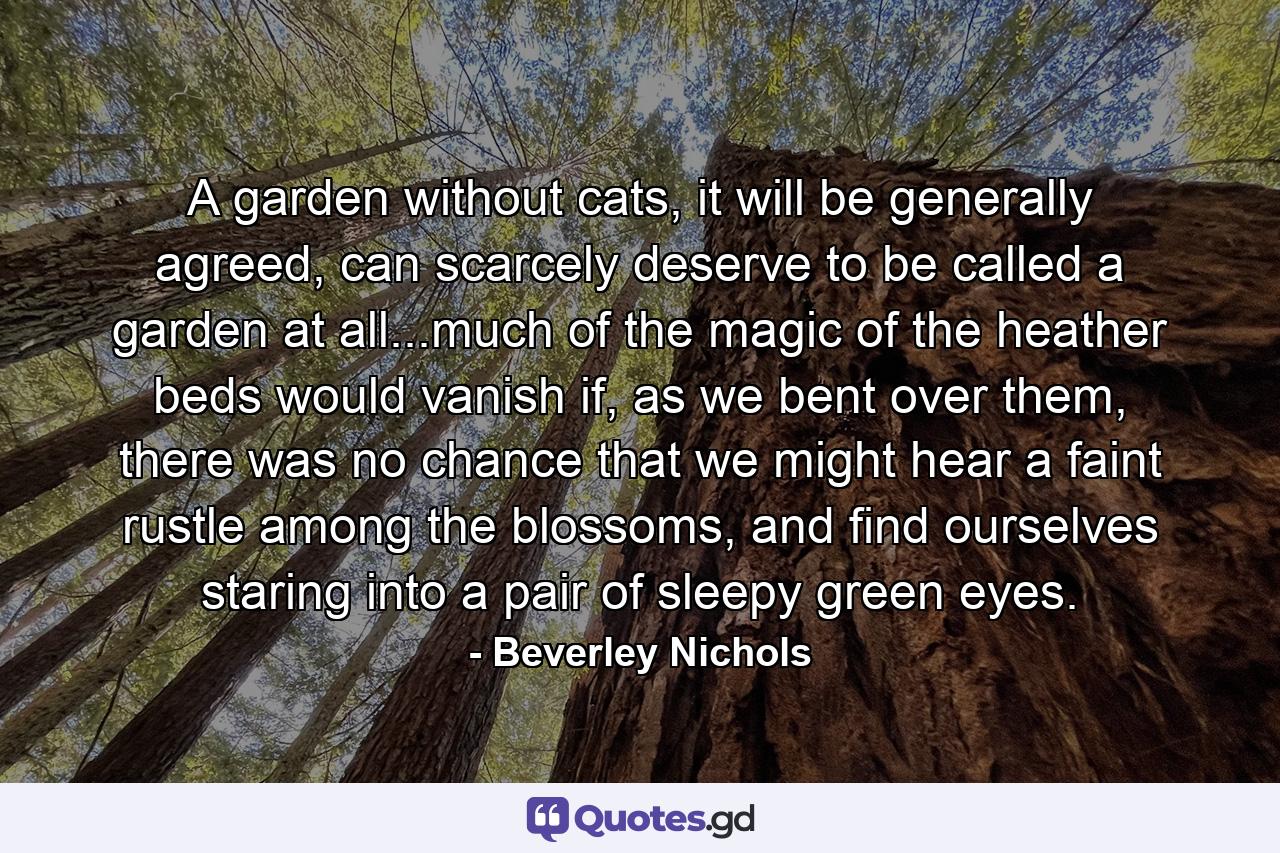 A garden without cats, it will be generally agreed, can scarcely deserve to be called a garden at all...much of the magic of the heather beds would vanish if, as we bent over them, there was no chance that we might hear a faint rustle among the blossoms, and find ourselves staring into a pair of sleepy green eyes. - Quote by Beverley Nichols