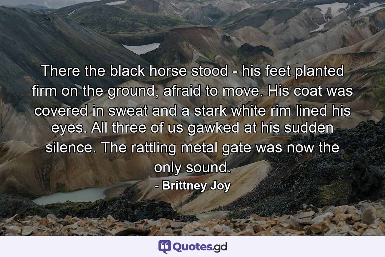 There the black horse stood - his feet planted firm on the ground, afraid to move. His coat was covered in sweat and a stark white rim lined his eyes. All three of us gawked at his sudden silence. The rattling metal gate was now the only sound. - Quote by Brittney Joy