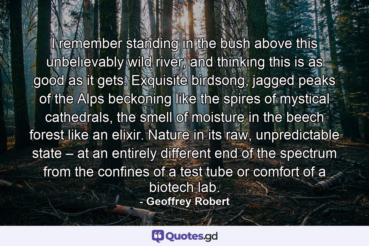 I remember standing in the bush above this unbelievably wild river, and thinking this is as good as it gets. Exquisite birdsong, jagged peaks of the Alps beckoning like the spires of mystical cathedrals, the smell of moisture in the beech forest like an elixir. Nature in its raw, unpredictable state – at an entirely different end of the spectrum from the confines of a test tube or comfort of a biotech lab. - Quote by Geoffrey Robert