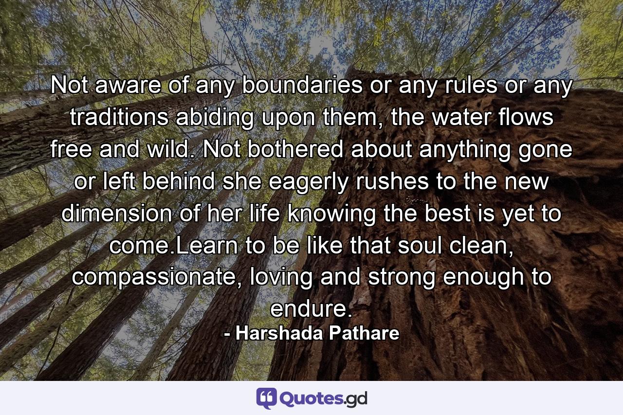 Not aware of any boundaries or any rules or any traditions abiding upon them, the water flows free and wild. Not bothered about anything gone or left behind she eagerly rushes to the new dimension of her life knowing the best is yet to come.Learn to be like that soul clean, compassionate, loving and strong enough to endure. - Quote by Harshada Pathare