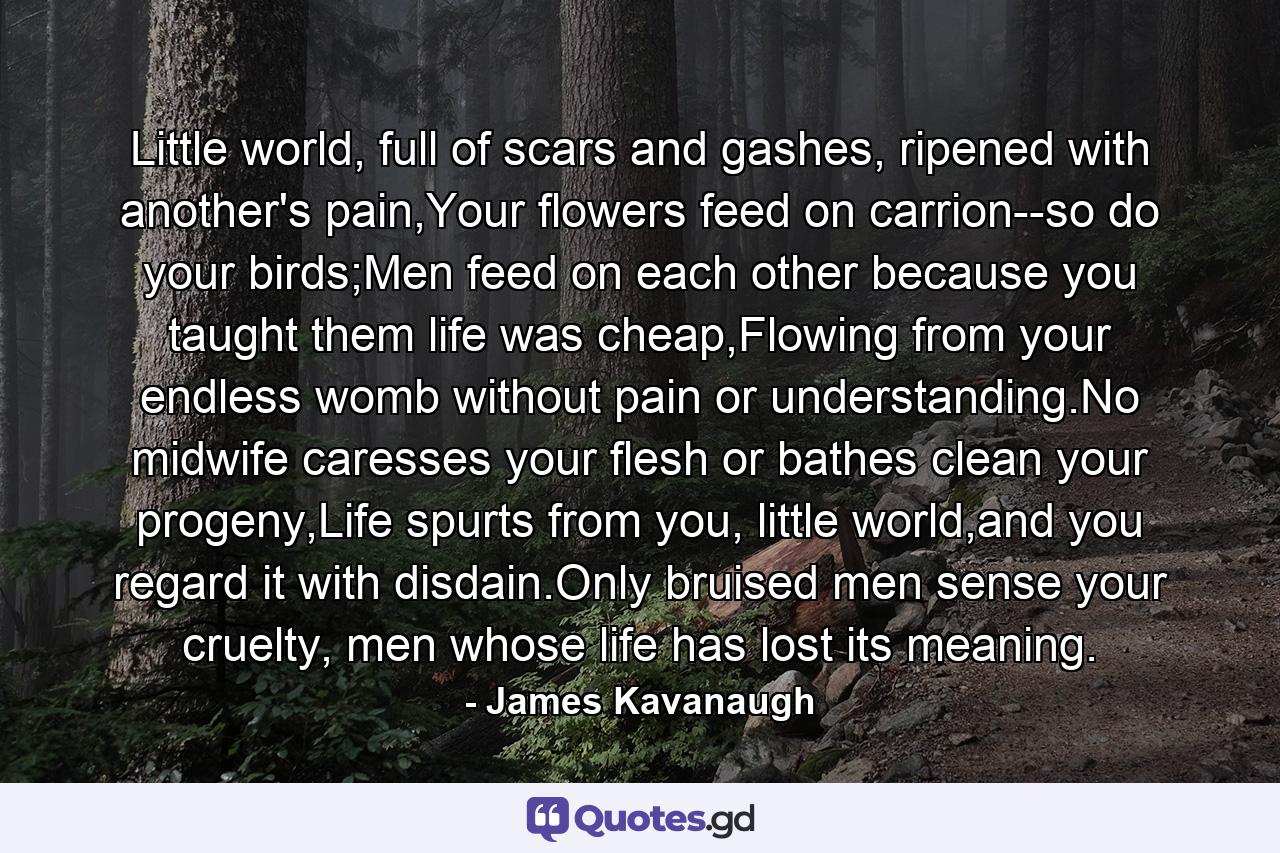 Little world, full of scars and gashes, ripened with another's pain,Your flowers feed on carrion--so do your birds;Men feed on each other because you taught them life was cheap,Flowing from your endless womb without pain or understanding.No midwife caresses your flesh or bathes clean your progeny,Life spurts from you, little world,and you regard it with disdain.Only bruised men sense your cruelty, men whose life has lost its meaning. - Quote by James Kavanaugh