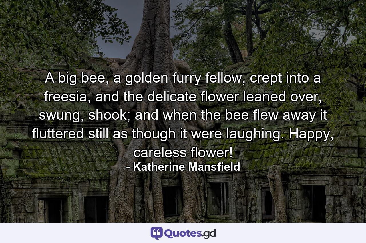 A big bee, a golden furry fellow, crept into a freesia, and the delicate flower leaned over, swung, shook; and when the bee flew away it fluttered still as though it were laughing. Happy, careless flower! - Quote by Katherine Mansfield