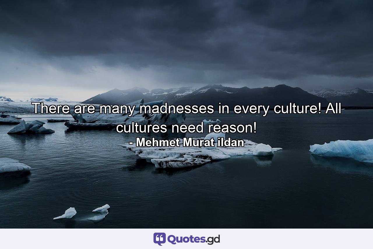 There are many madnesses in every culture! All cultures need reason! - Quote by Mehmet Murat ildan