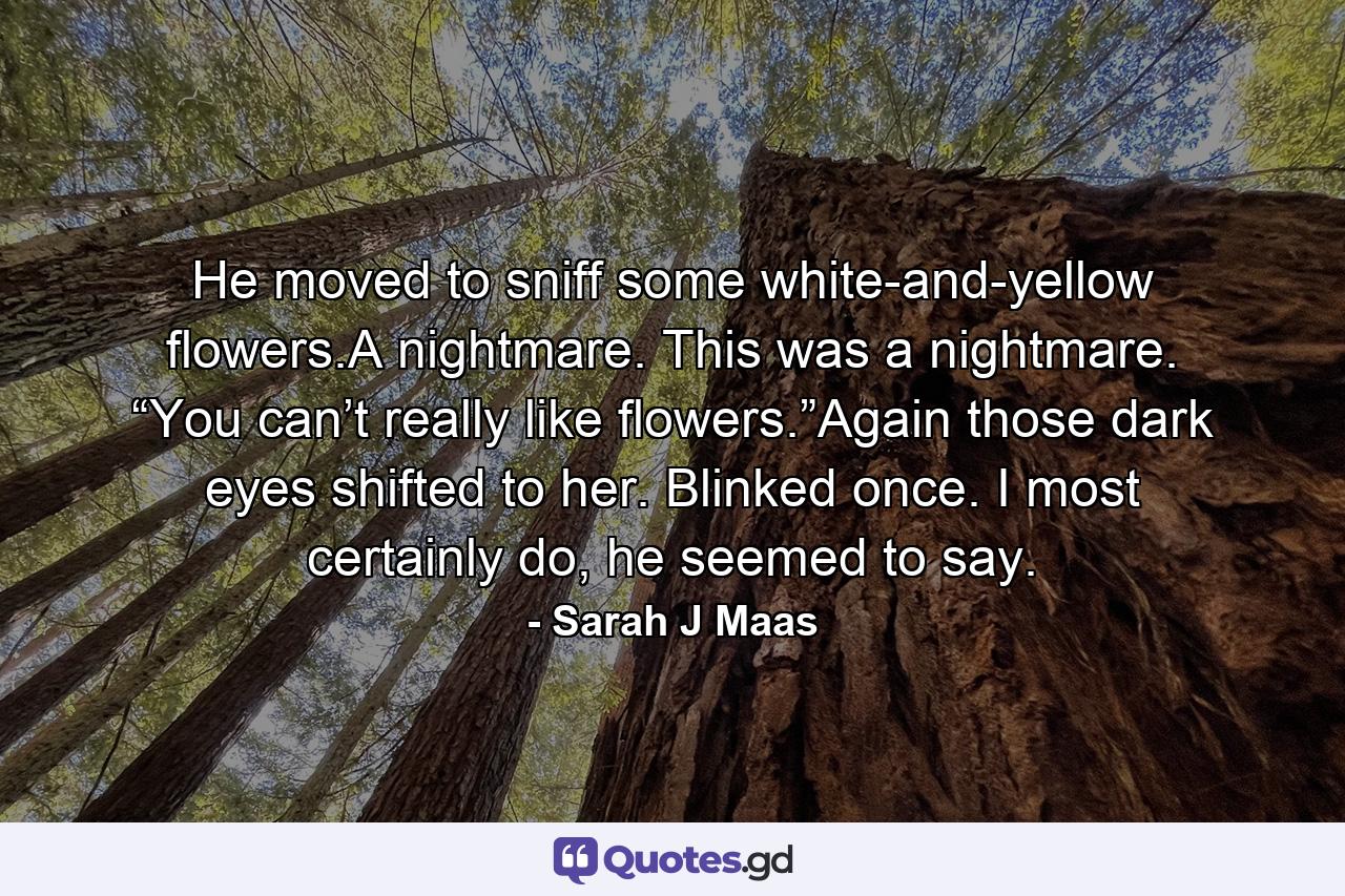 He moved to sniff some white-and-yellow flowers.A nightmare. This was a nightmare. “You can’t really like flowers.”Again those dark eyes shifted to her. Blinked once. I most certainly do, he seemed to say. - Quote by Sarah J Maas