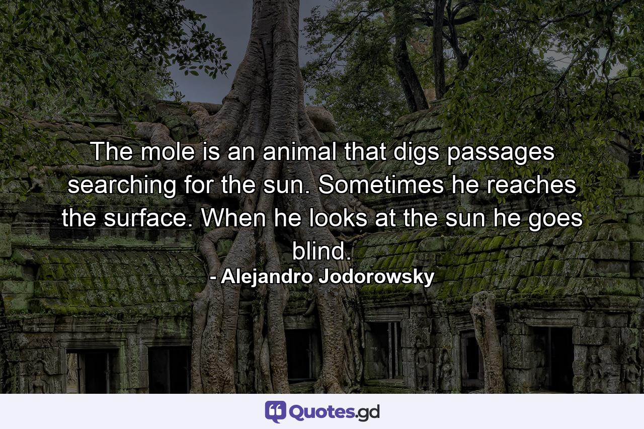 The mole is an animal that digs passages searching for the sun. Sometimes he reaches the surface. When he looks at the sun he goes blind. - Quote by Alejandro Jodorowsky