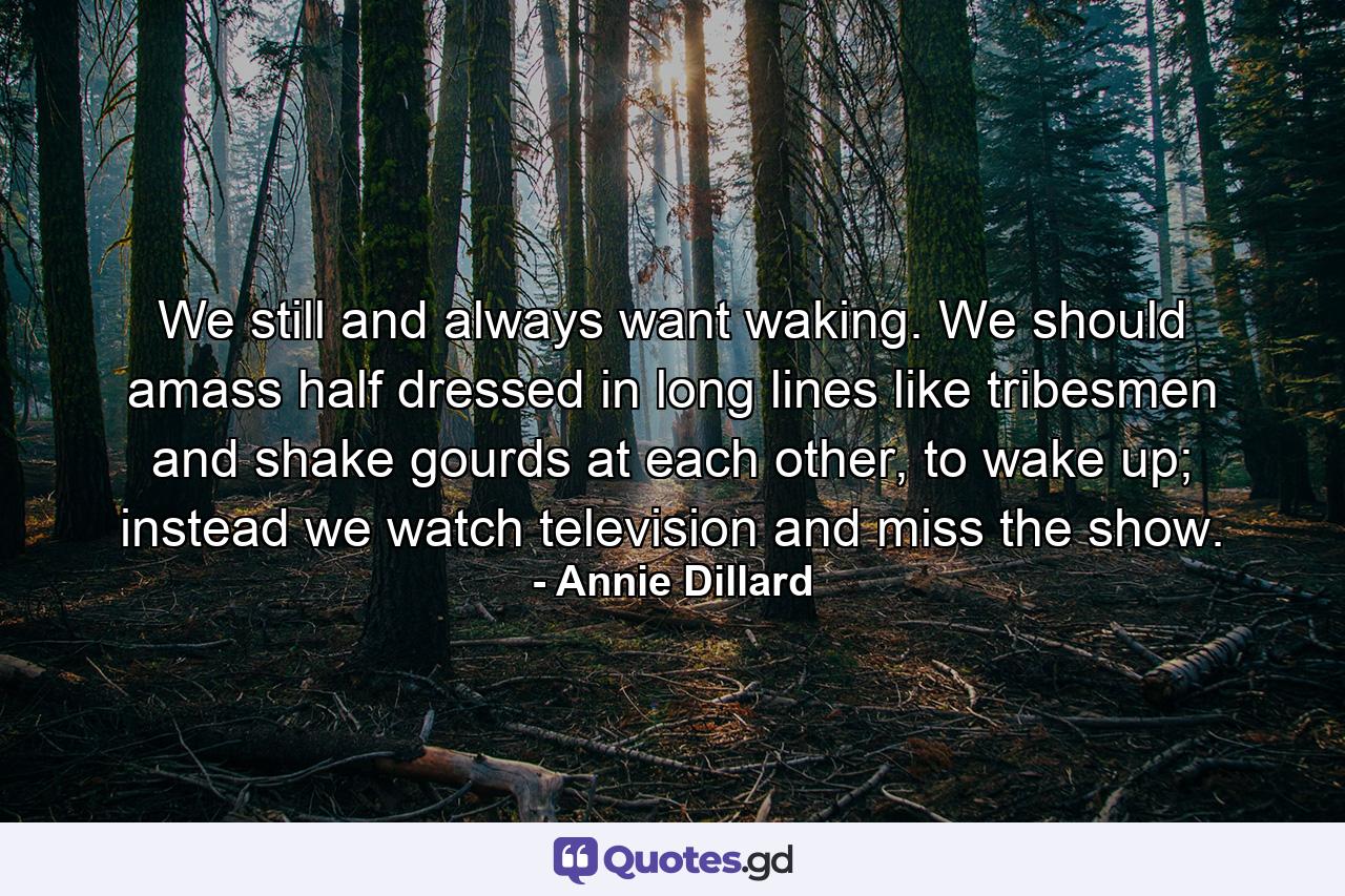 We still and always want waking. We should amass half dressed in long lines like tribesmen and shake gourds at each other, to wake up; instead we watch television and miss the show. - Quote by Annie Dillard